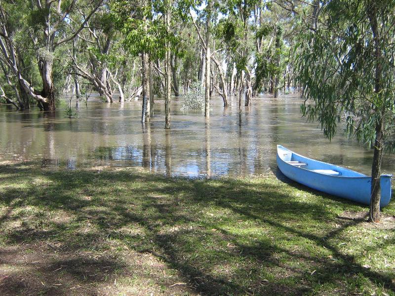 floods dec 2010 008.jpg