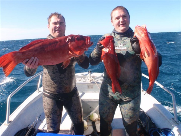 Coral trout resize.jpg