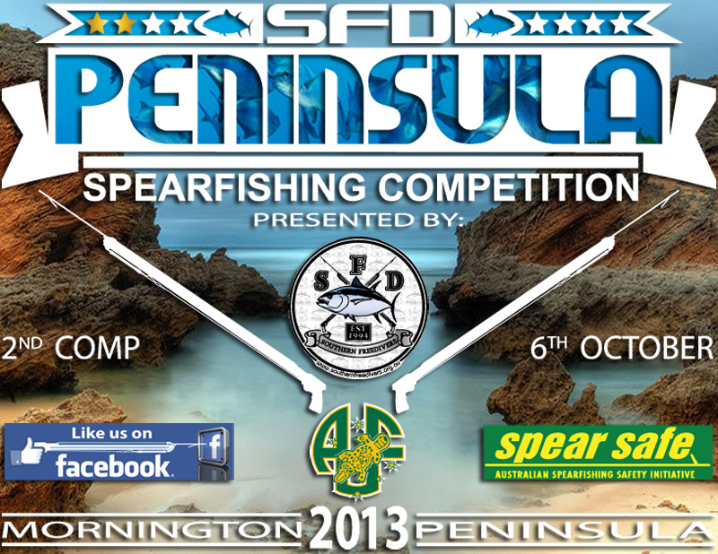 2nd_peninsula_2013_Designed_by_Brimbo_Sports_.jpg