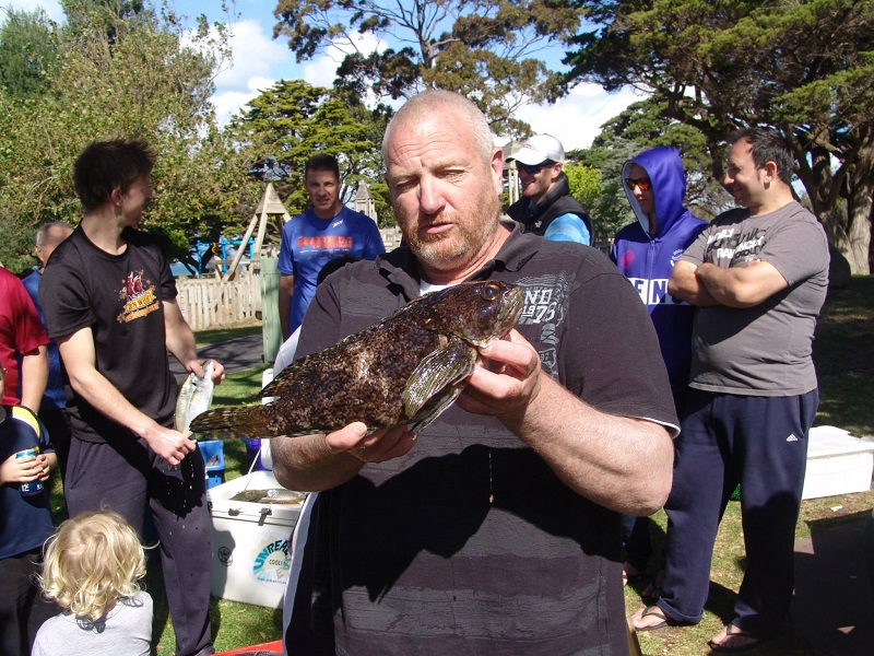 Silver Spot Cod.jpg