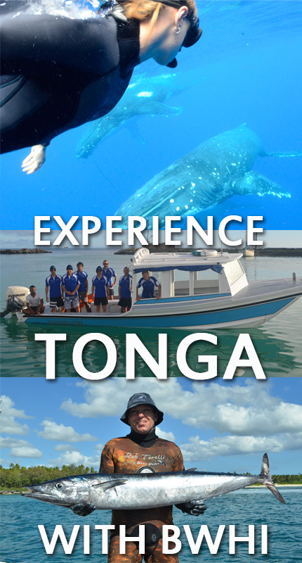 tongaexperience[1].jpg