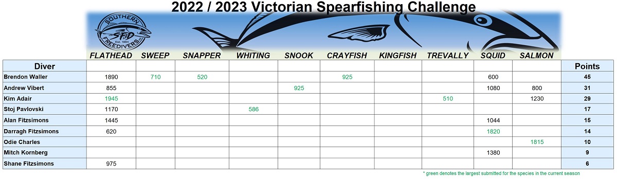 20230203 - Vic Challenge Leaderboard - resized.jpg